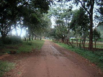 Image of Road to Grigg